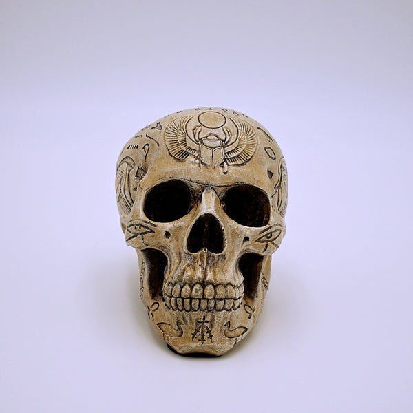 7 Meanings Behind Skull Imagery