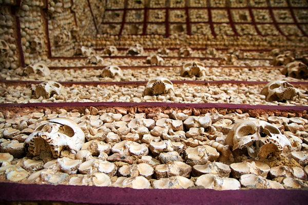 Exploring the Mystique: The Capela dos Ossos, Chapel of Bones