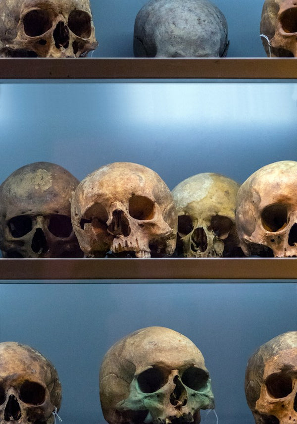 The Surprising Role of Pulverized Skulls in Medicine: Unlocking Medical Marvels