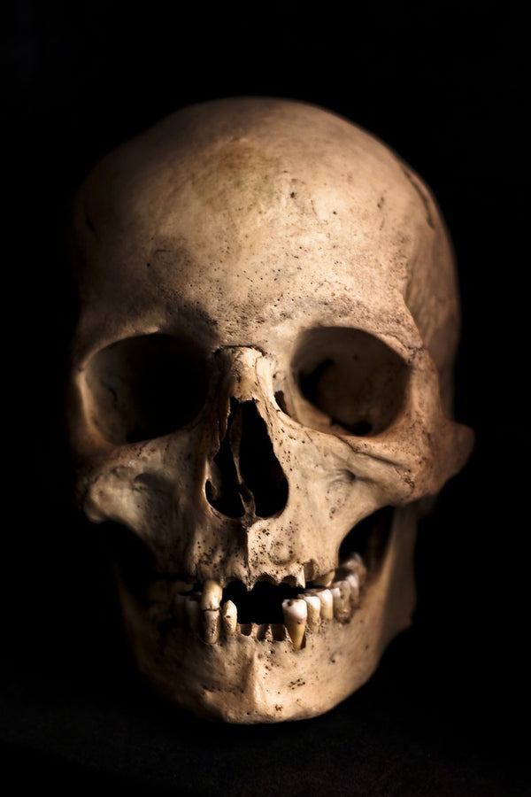 Examining the Differences Between Female and Male Skulls