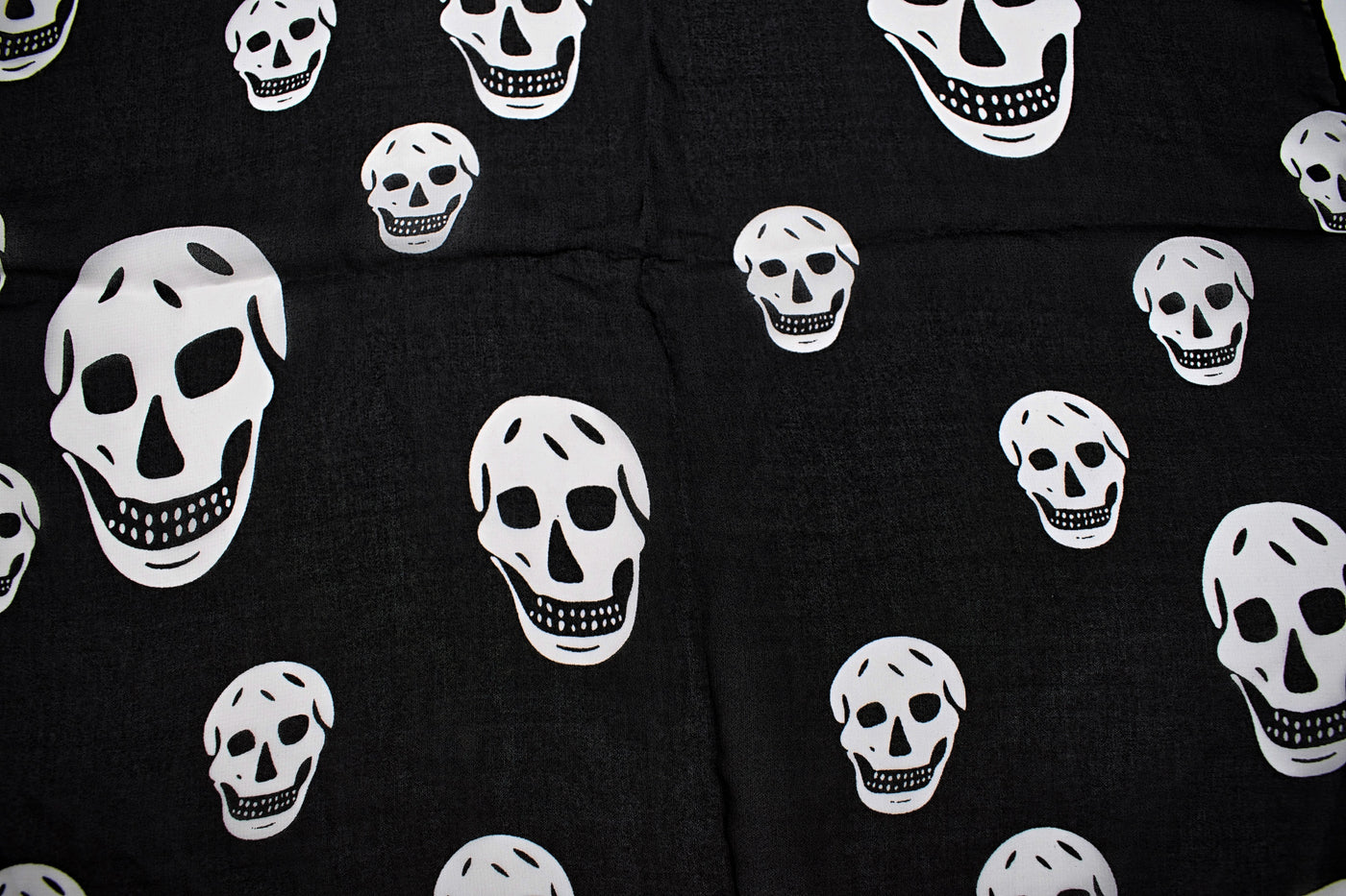 Chiffon Skull Scarf - The Cranio Collections