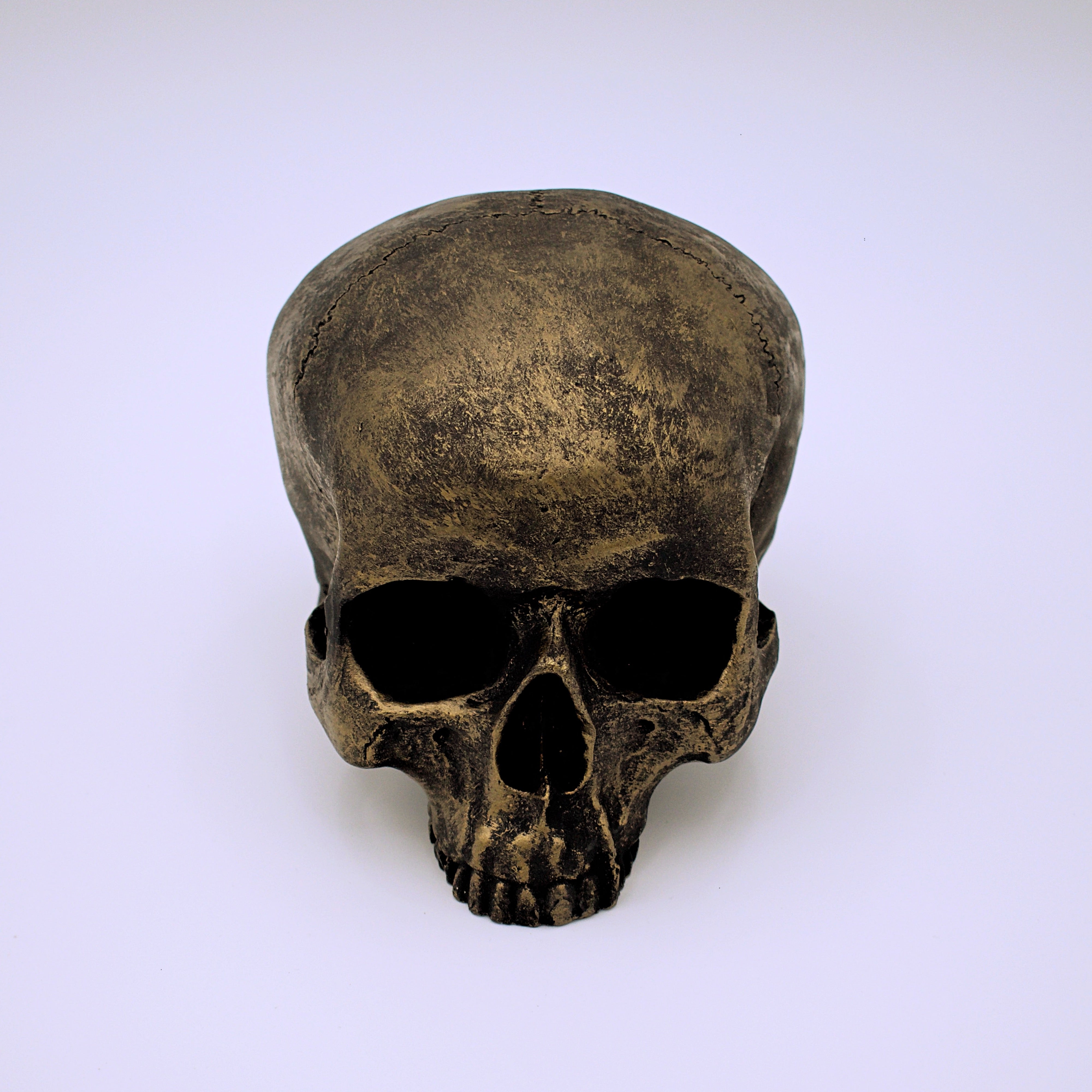 Bronze Finish Skull Sculpture – The Cranio Collections