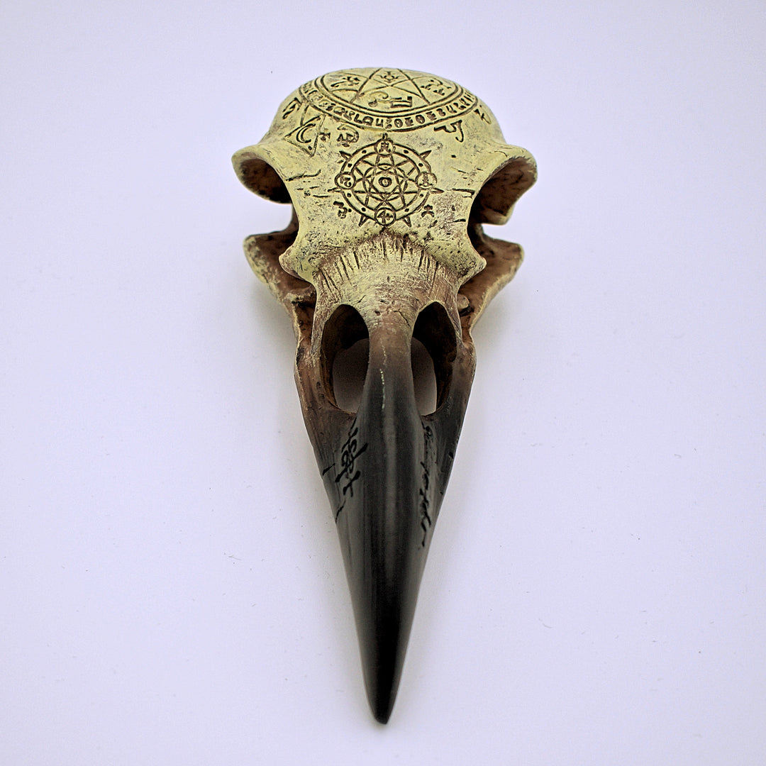 Omega Raven Skull Sculpture – The Cranio Collections